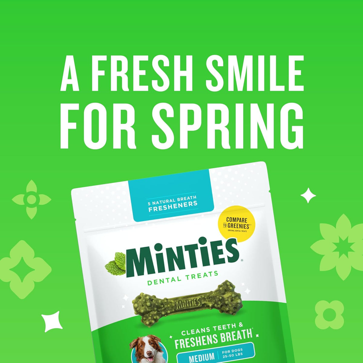 Mint Dental Chews for Medium Breeds (25-50 lbs) - 17 Count