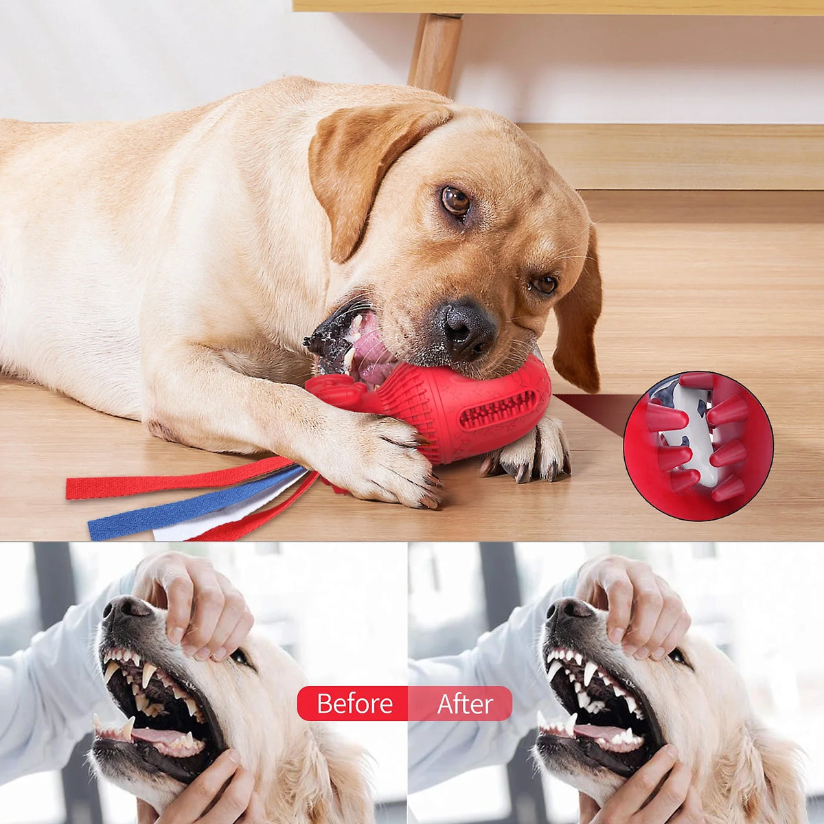 Durable Interactive Squeaky Toy for Medium to Large Dogs - Clearance Item, Random Color Selection