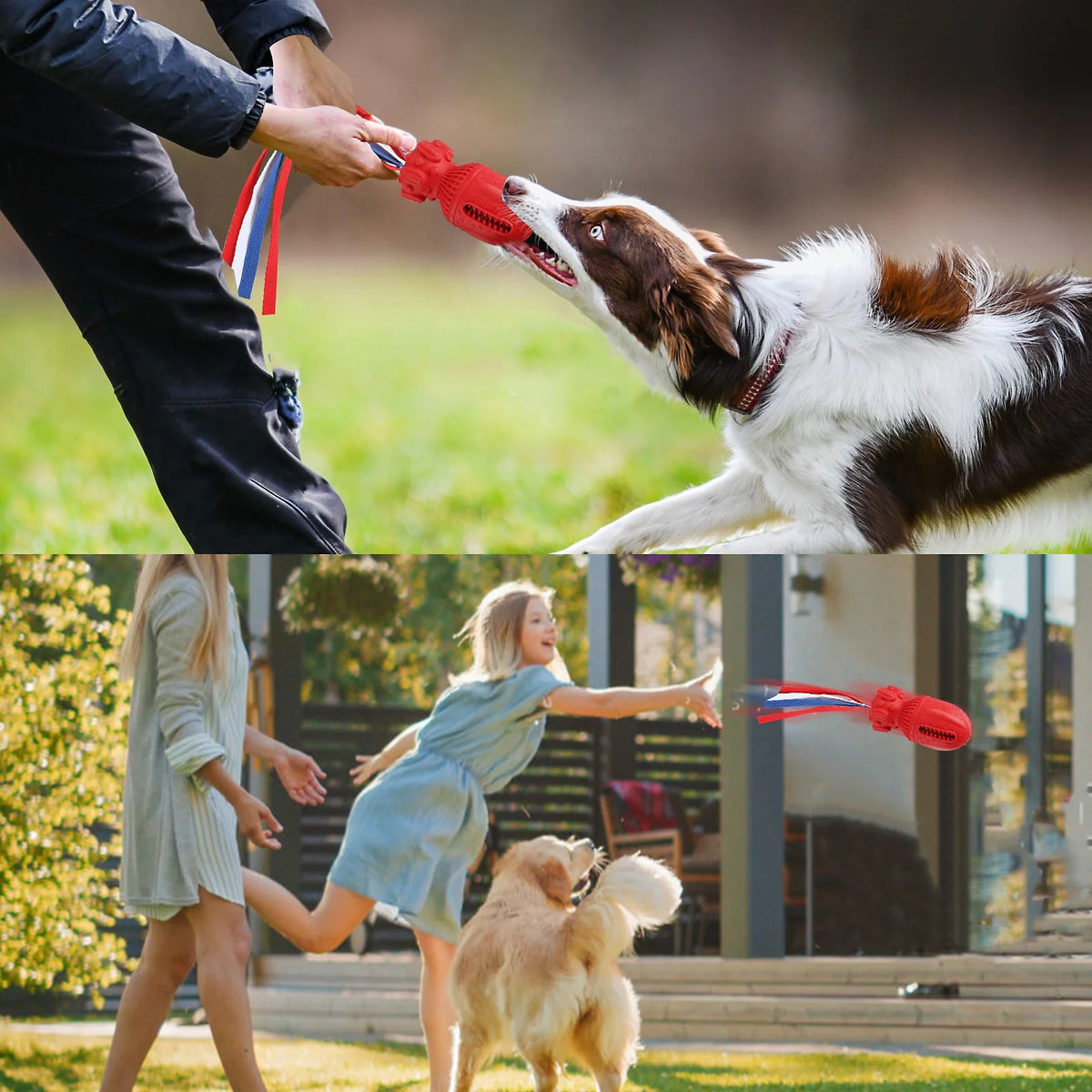 Durable Interactive Squeaky Toy for Medium to Large Dogs - Clearance Item, Random Color Selection